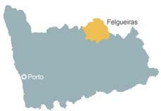 Inserido na parte superior do Vale do Sousa, na área Nordeste do distrito do Porto, remete para uma coroa de transição entre o Litoral e o Interior, no limite de 2 distritos (Porto e Braga).