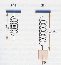 A unidade de medida de força no SI é o Newton [N].
