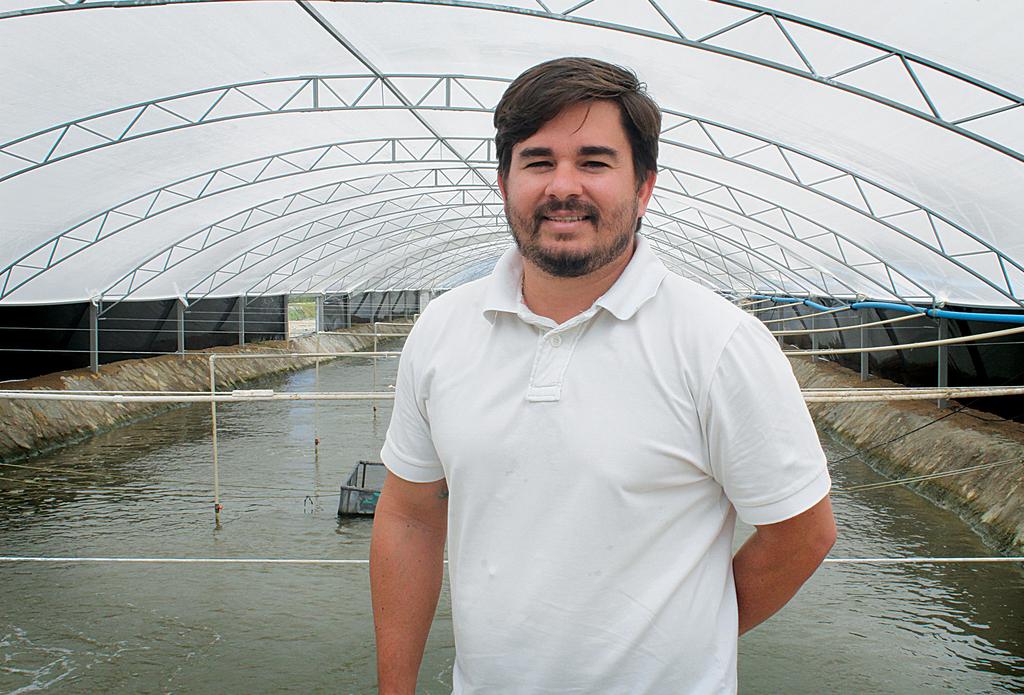 Um problema que não ocorre na produção de camarão em sistema intensivo, pois a água captada dos poços artesianos pode ser reaproveitada várias vezes ao longo do cultivo, conta Enox, circulando em