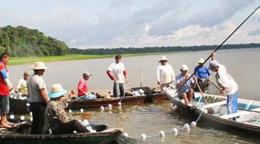 A pesca desregrada trouxe sérios problemas para os Estados do Pará, Amazonas, e para as regiões pesqueiras.