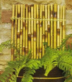 CACHEPÔ DE PAREDE Materiais: Bambu cana-da-índia