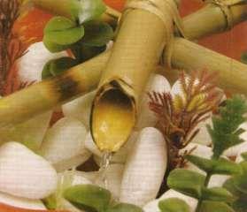 PONTEIRA DE FONTE Materiais: Bambu cana-da-índia tratado e envernizado nas