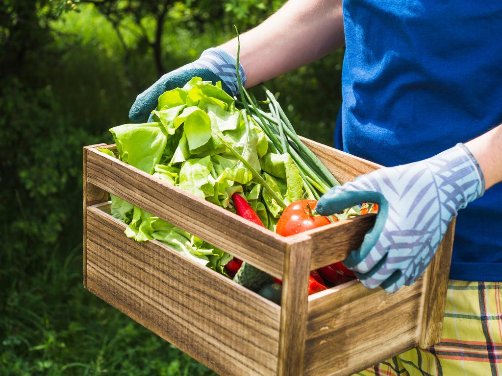 A agricultura é um campo de oportunidades e lugar de promoção da vida.