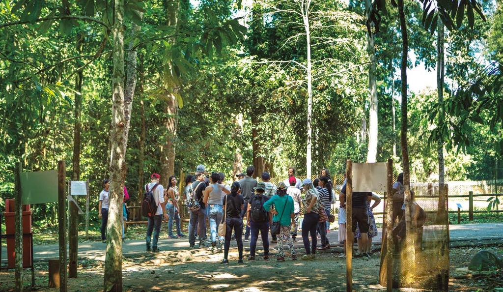 Proteção da fauna e flora Parque Zoobotânico Vale Localizado em plena Floresta Nacional de Carajás, o