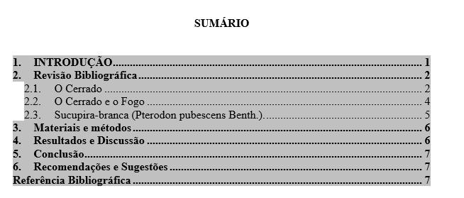 Observe que o word já coloca as páginas pra você!