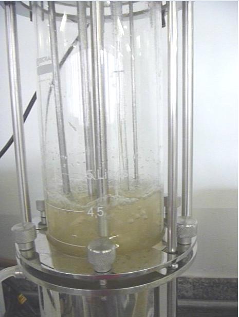 35 Figura 8. Experimento para produção de goma xantana utilizando bagaço de cana-de-açúcar utilizando biorreator Coluna de Bolhas (Fonte: Arquivo pessoal). 4.