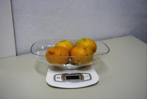 3.1.2.3 Determinação das taxas de infestação dos frutos A avaliação da infestação dos frutos por C.