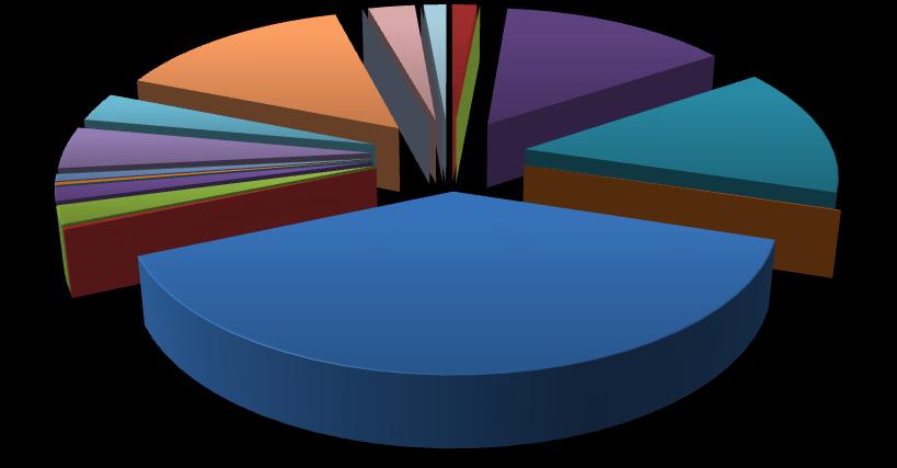 Medronho 5% Nectarina 3% Pêssego 3% Pêra Nêspera 15% Romã Tomate arbóreo Abacate Uva 1% Ameixa 2% Anona Araçá 14% Lima doce Marmelo Manga Mandarina 1%