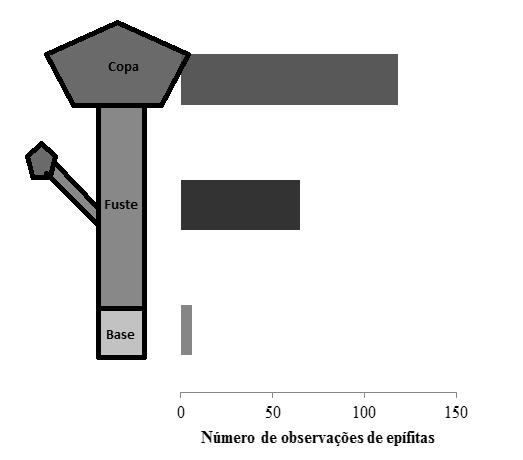 Figura 1. Distribuição vertical das epífitas ao longo dos forófitos amostrados na Mata de Galeria da REBIO Guará, DF. Assim como encontrado por outros pesquisadores (Nieder et al.