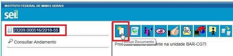 2 - Incluindo o Pedido de Viagem Com o processo iniciado/gerado, já