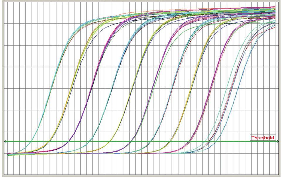 Mx 3005P QPCR System (Stratagene) ABI Prism 7500 Fast SDS (Applied Biosystems) LightCycler 480 Instrument II (Roche) Rotor-Gene 6000 (Corbett Research)/Rotor-Gene Q 5/6 plex Plattform (QIAGEN) CFX96