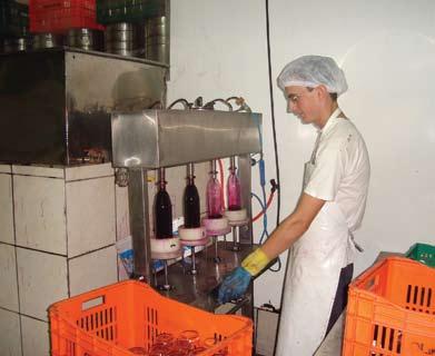 Produção de suco de uva ecológico. Ipê, 2008 tanto por famílias ecologistas como por não-ecologistas.