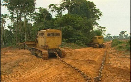 Desmatamento http://www.globoamazonia.