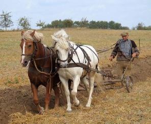 3.1 Classificação dos implementos Quanto a fonte de potência: Tração animal; Tração