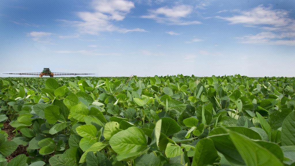 SISTEMA CAMPO LIMPO Destinação de