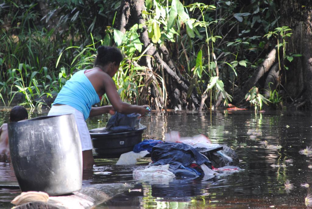 Amazônica 2 (2):