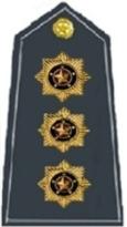 Coronel: Três estrelas compostas douradas, metalizadas para as platinas e bordadas com as mesmas características, em tecido cinza bandeirantes, para as
