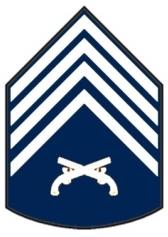 1º Sargento: Cinco divisas bordadas com fio da cor branca em tecido da cor azul marinho; disposta na forma triangular aberta na