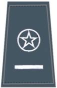 Insígnia de Aspirante a oficial: na platina é constituída por uma estrela singela de cinco pontas, de metal prateado.