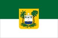 III. BANDEIRA DO RIO GRANDE DO NORTE a) USO: Bordada - Será usada no terço superior da manga direita, no centro, a 50 mm da costura superior, medindo 40x60mm, dos uniformes formais e sociais