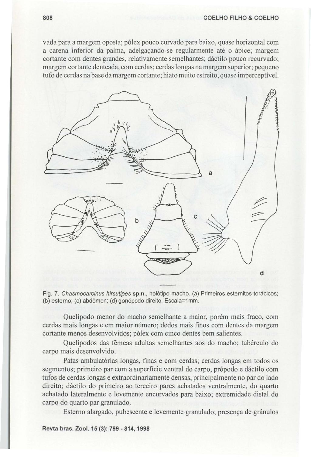 808 COELHO FILHO & COELHO vada para a margem oposta; pólex pouco curvado para baixo, quase horizontal com a carena inferior da palma, adelgaçando-se regularmente até o ápice; margem cortante com