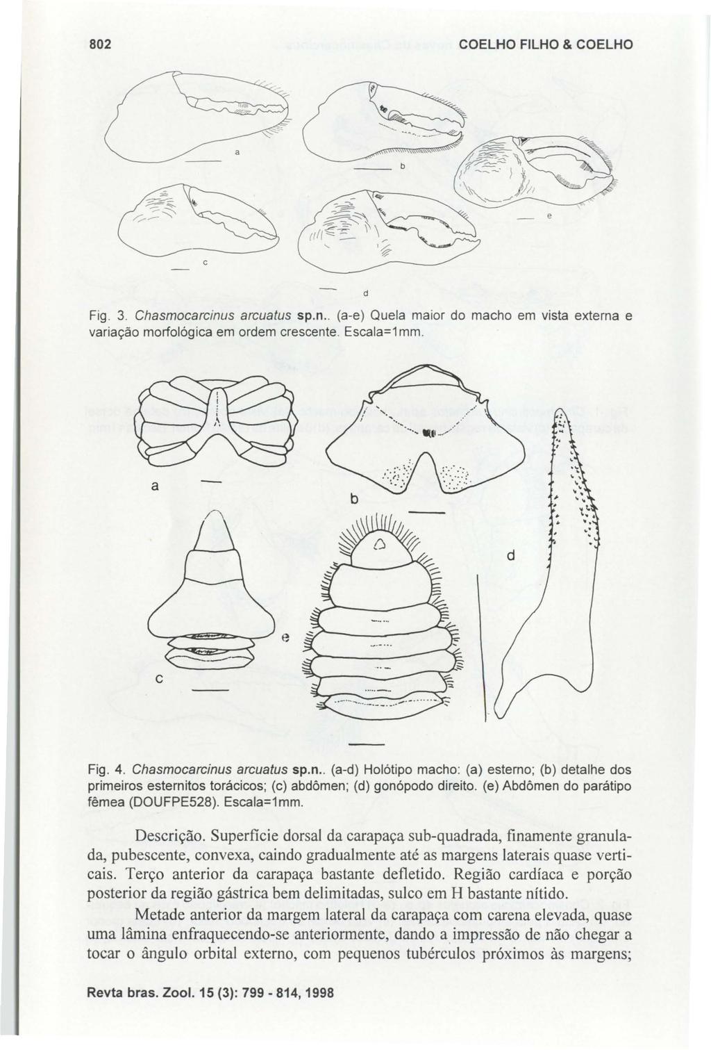 802 COELHO FILHO & COELHO Fig. 3. Chasmocarcinus arcuatus sp.n.. (a-e) Quela maior do macho em vista externa e variação morfológica em ordem crescente. Escala=1 mm. a d c e Fig. 4.