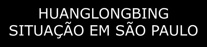 % ÁRVORES SINTOMÁTICAS HUANGLONGBING SITUAÇÃO EM SÃO PAULO