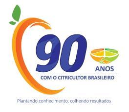 Híbridos de trifoliata como porta-enxertos para cultivo de laranja doce no estado de São Paulo André Luiz Fadel Introdução Principais frutas