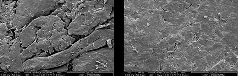Microscopia Eletrônica de Varredura da superfície da serragem densificada a 20 C (c) e a 180 C (d).