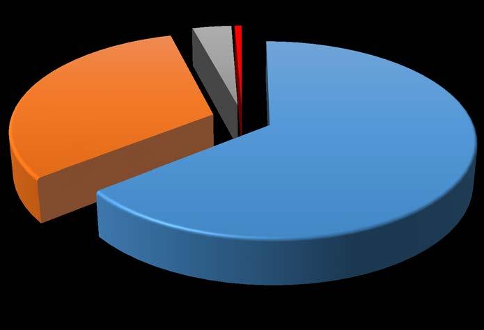 Tipologia Infraestruturas Desportivas 4% 1% 31%