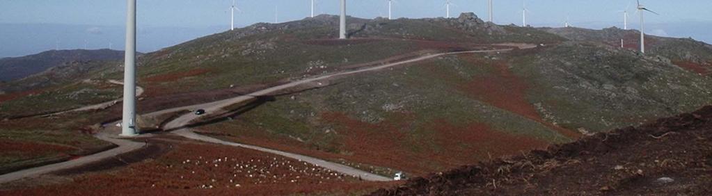 Exécution du Parc Éolien de São Pedro Surveillance des travaux de construction Environmental Impact Study