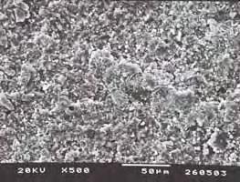 observado em microscópio eletrônico de varredura JSM
