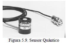 Radiação Fotossinteticamente Ativa (RFA ou PAR) - Comprimentos de onda entre 400 e 700 nm - Mede a quantidade de fótons absorvidos nessa banda do espectro solar - Densidade de Fluxo de Fótons