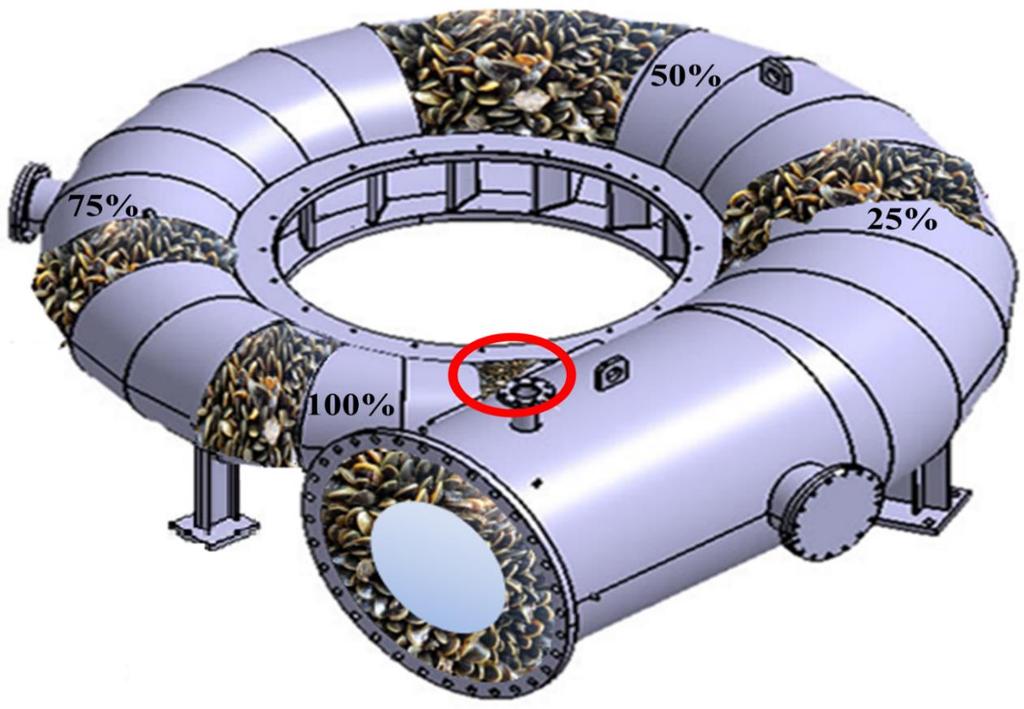 A figura 6.17, exemplifica a incrustação do L. fortunei, na caixa espiral da turbina Francis, com as diferentes porcentagens da carga nominal que é operada a máquina.