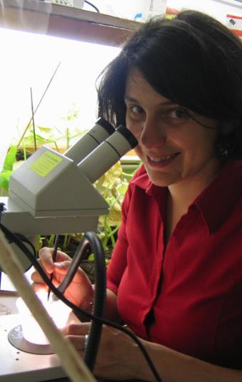 Sara Magalhães Investigadora auxiliar, investigador FCT 2012 Grupo de investigação no CE3C: Ecologia Evolutiva Sara Magalhães desenvolve investigação na interseção entre Ecologia e Evolução.