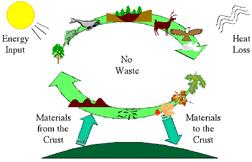 Fluxo cíclico da natureza Ciclos naturais não geram resíduos: Extracção de recursos ao ambiente Processamento