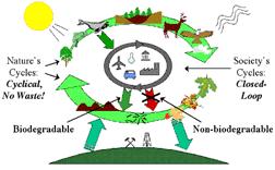 Sistema ideal: natureza e ambiente Sistema fechado (cradle to cradle): Não gera resíduos para o ambiente Resíduos