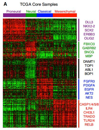 Padrão Global de Expressão Gênica: 4 subtipos de GBM