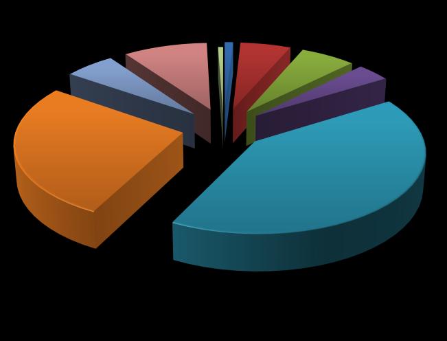 Distribuição Orçamentária Diárias 0,9% 5,6% 6,1% Material de Consumo 5,6% 9,3% 0,6% 27,1% 3,7% 41,3% Despesas com Locomoção Pessoa Física Serviços