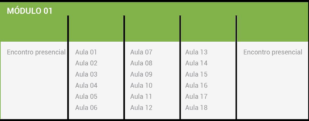 1.2 Período de realização Esse módulo 02 será desenvolvido ao longo de 20 semanas, sendo a primeira semana de ambientação ao curso e a última destinada a uma avaliação presencial.