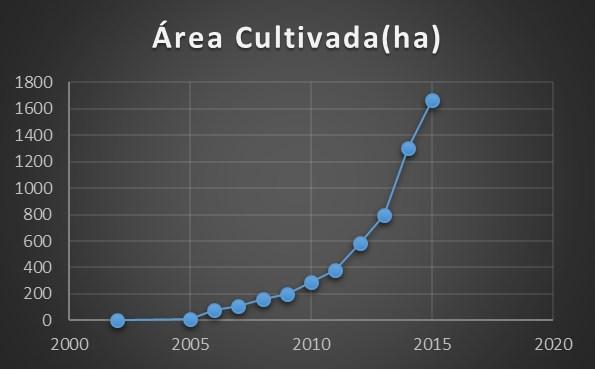 No gráfico abaixo é possível visualizar melhor o aumento do cultivo nos últimos anos, a partir do ano de 2010 como podemos perceber esse aumento foi bem significativo, saindo de 290 há, para 1 670 há