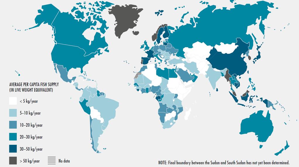 CONSUMO DE PEIXE PER CAPITA MÉDIA 2013-2015 FONTE: FAO.