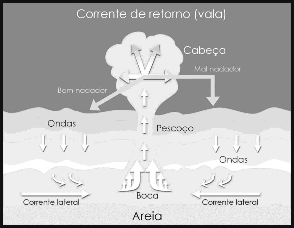 Figura Para reconhecer uma corrente de retorno, observe: Que geralmente aparece entre dois locais mais rasos (bancos de areia).