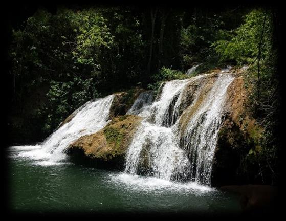 PARQUE DAS CACHOEIRAS O passeio começa com uma caminhada por trilha ecológica na mata ciliar do Rio Mimoso, observando os encantos da fauna e flora locais. Durante o percurso de aprox. 1.