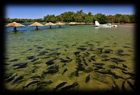 000m2, para você nadar, mergulhar e praticar outras atividades aquáticas como caiaque, tirolesa, biribol e pedalinho, além, claro do vôlei de areia e frescobol, que não podem faltar numa praia, tudo