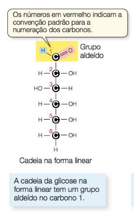 Carboidratos Os monossacarídeos sao ac ucares simples