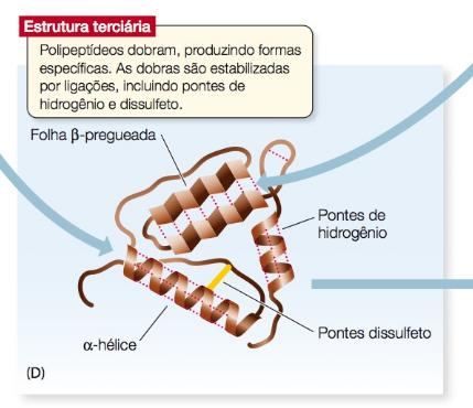 Proteínas