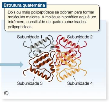 Proteínas