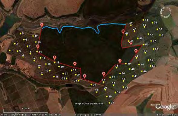 42 Figura 1: Fragmento de mata do município de Barretos com os pontos de borda (1~10) em vermelho, na linha de borda do fragmento marcada em vermelho, e a área cultivada, com os pontos marcados