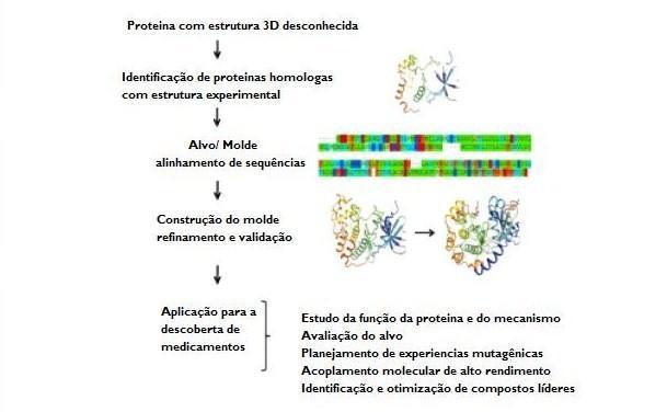 Figura 9. Esquema do processo da modelação de proteínas por homologia e as suas aplicações na descoberta de fármacos. (Adaptado de Cavasotto & Phatak 2009).